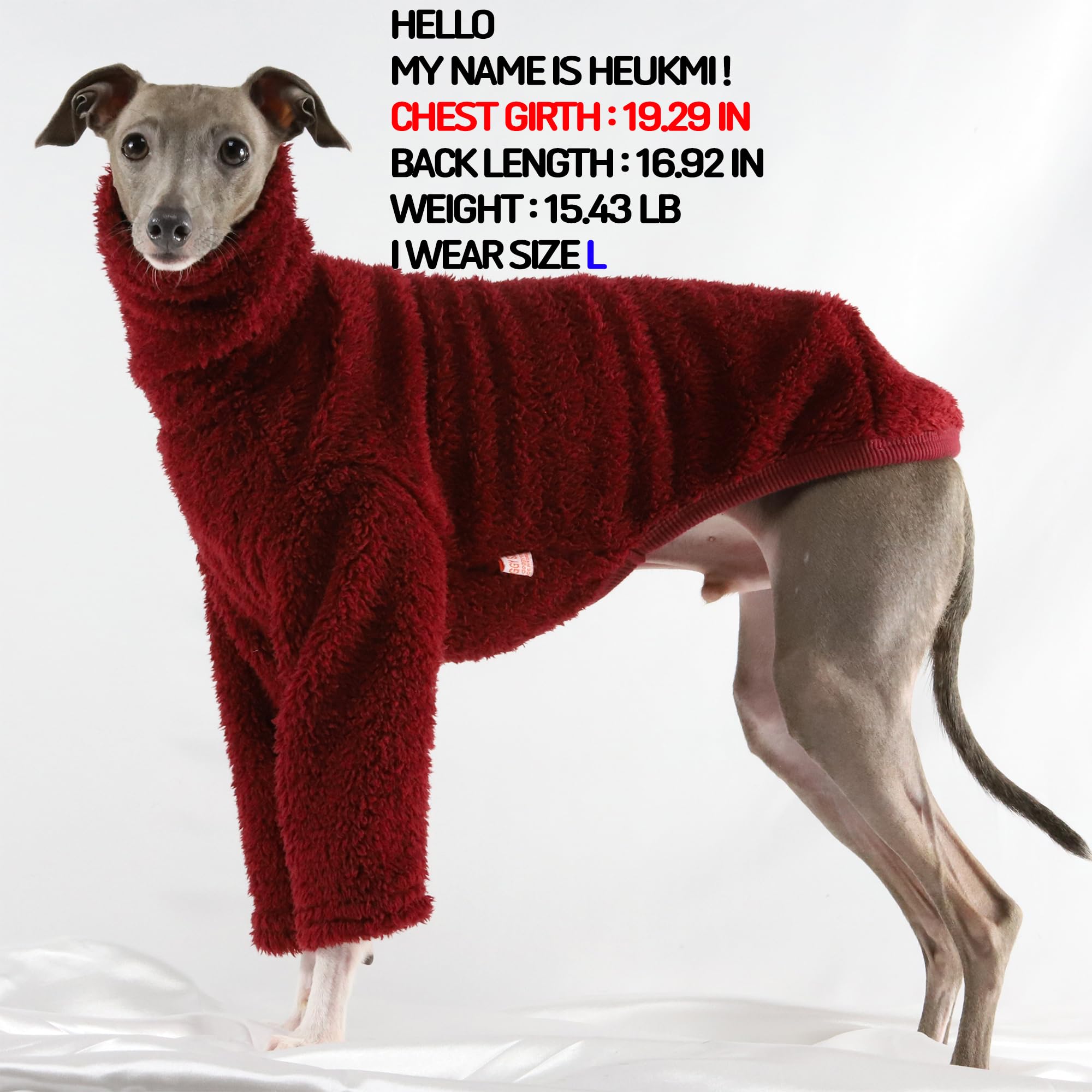 Doggystar Bedlington terrier sweater keeps little dogs warm in chilly days.