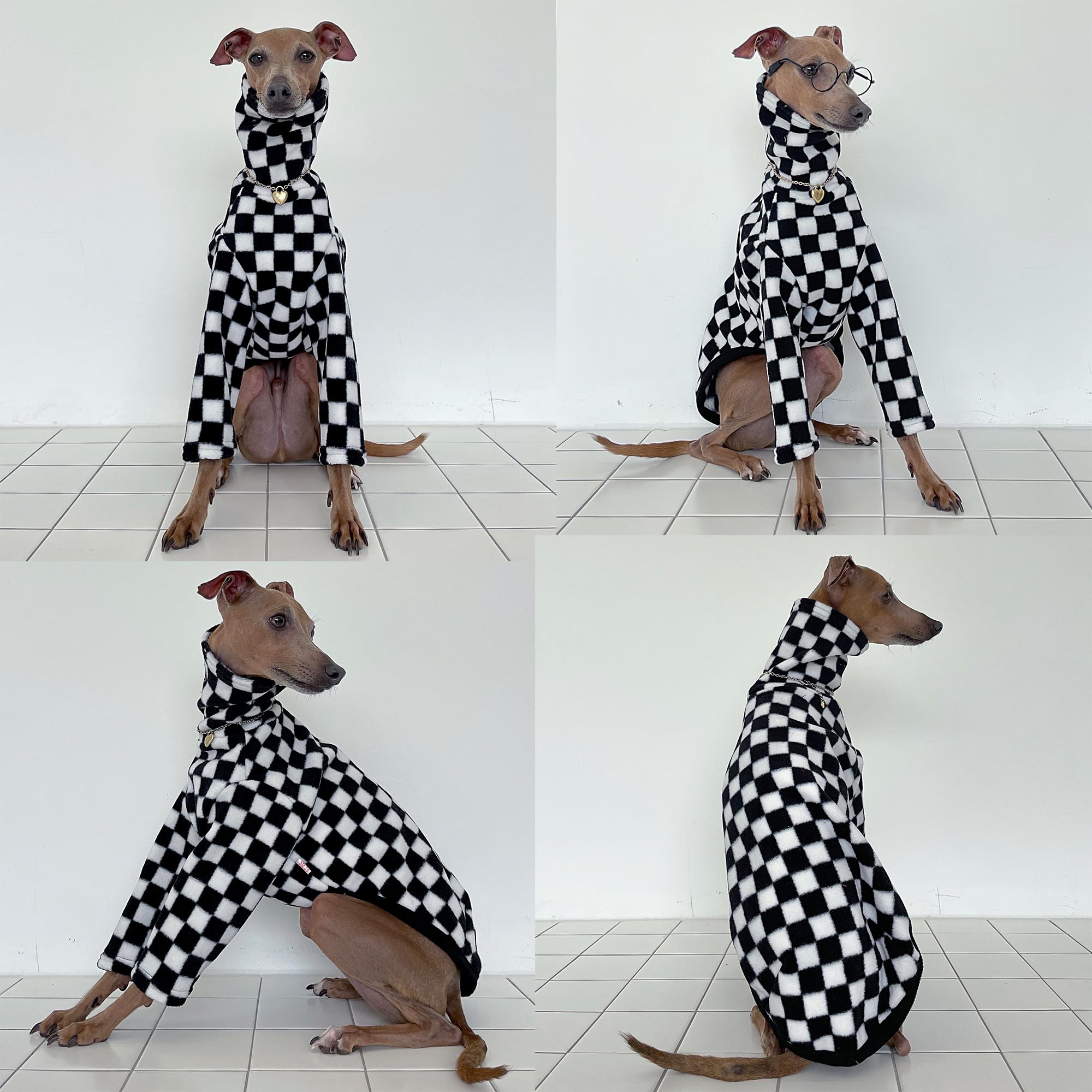Doggystar chest-fit closeup highlighting tailored cut for slim greyhounds
