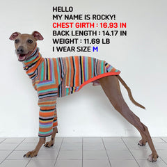 Doggystar Italian Greyhound polar fleece sweater side view highlights easy-on design.