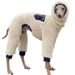 Doggystar Italian Greyhound sweater on iggy showing navy turtleneck coat for winter walks