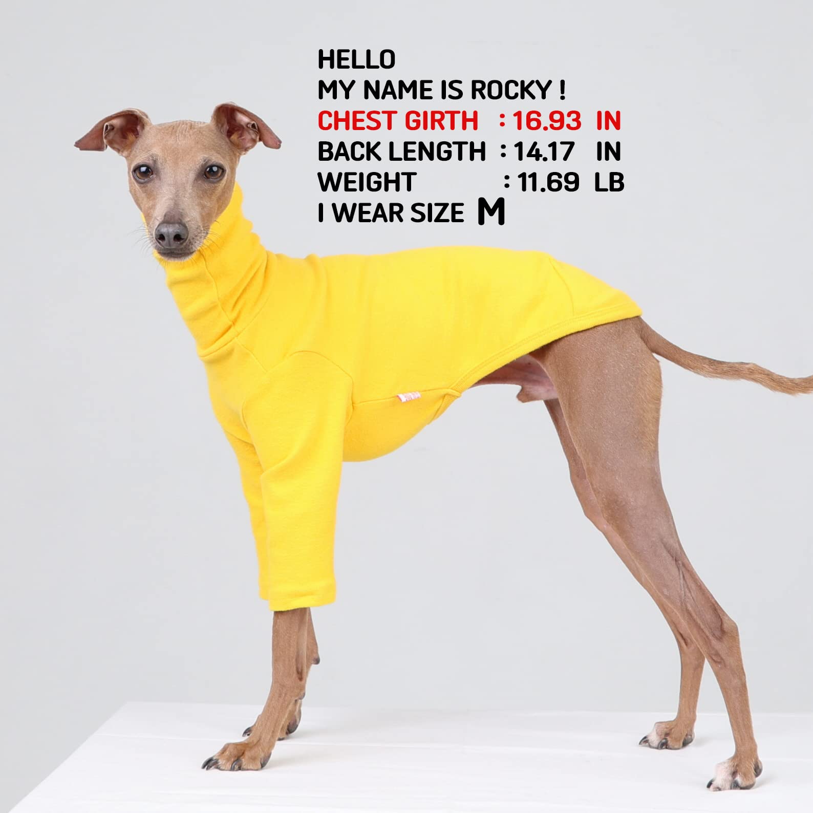 doggystar Italian Greyhound T-Shirt side view highlighting flexible fabric for movement