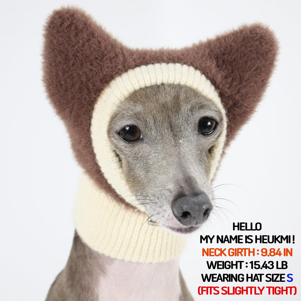 D Doggy Star Made-in-Korea stitching demonstrates durable craftsmanship.