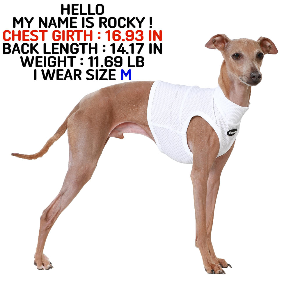 Doggystar close-up shows breathable fabric for lightweight airflow during walks.