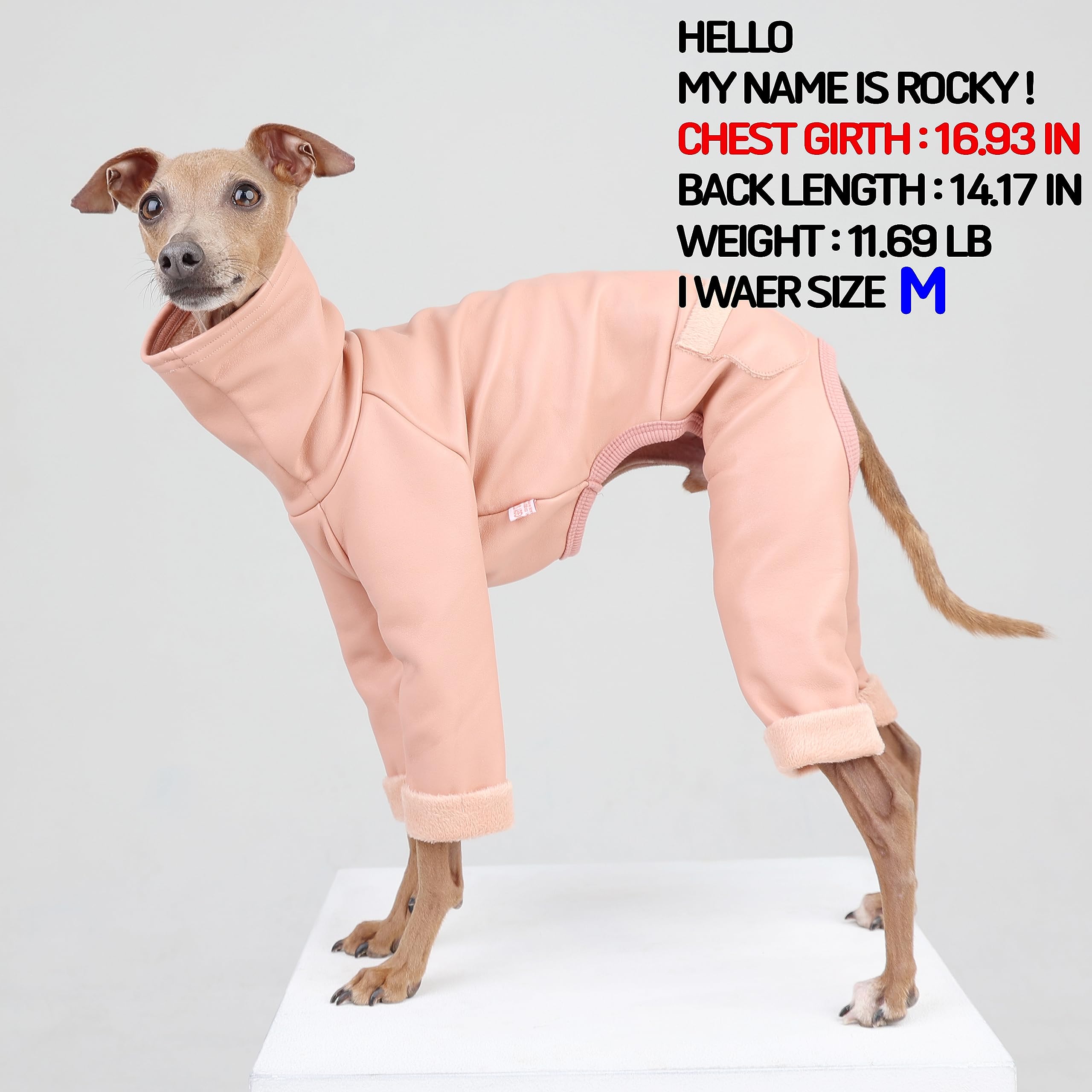 Doggystar stretchable outer leather coat side view highlights flexible fit