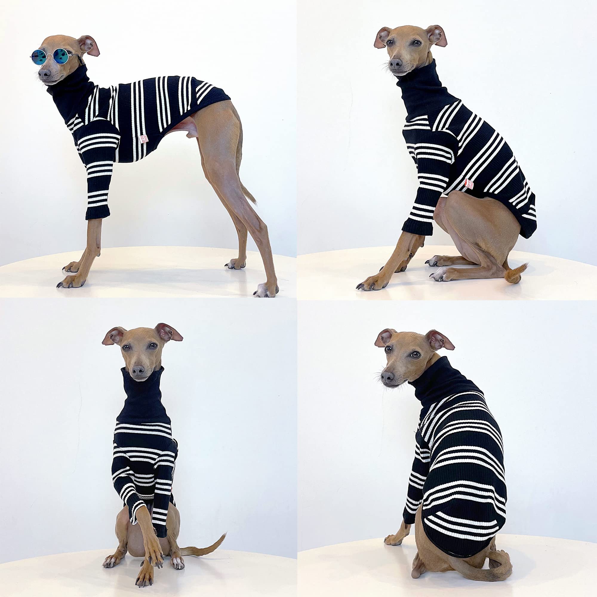 Doggystar Turtleneck Long-Back Ivory Stripe demonstrates generous length for greyhounds.