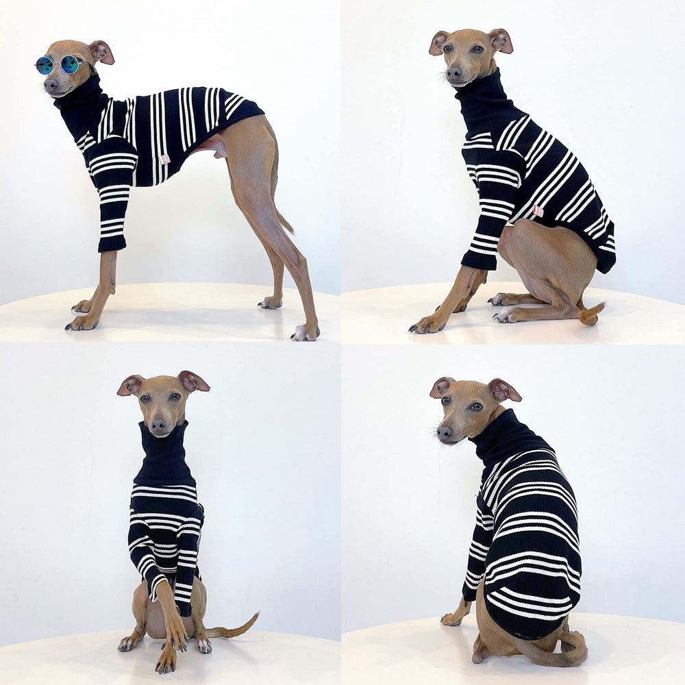 Doggystar Turtleneck Long-Back Ivory Stripe demonstrates generous length for greyhounds.