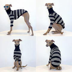 Doggystar Turtleneck Long-Back Ivory Stripe demonstrates generous length for greyhounds.