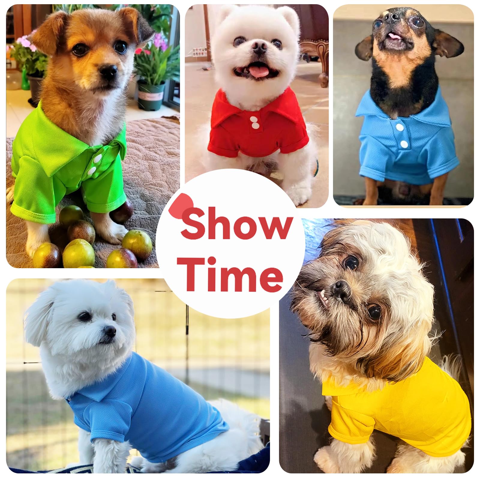Doggyzstyle belly-cut polo shirt close-up demonstrates potty-friendly design