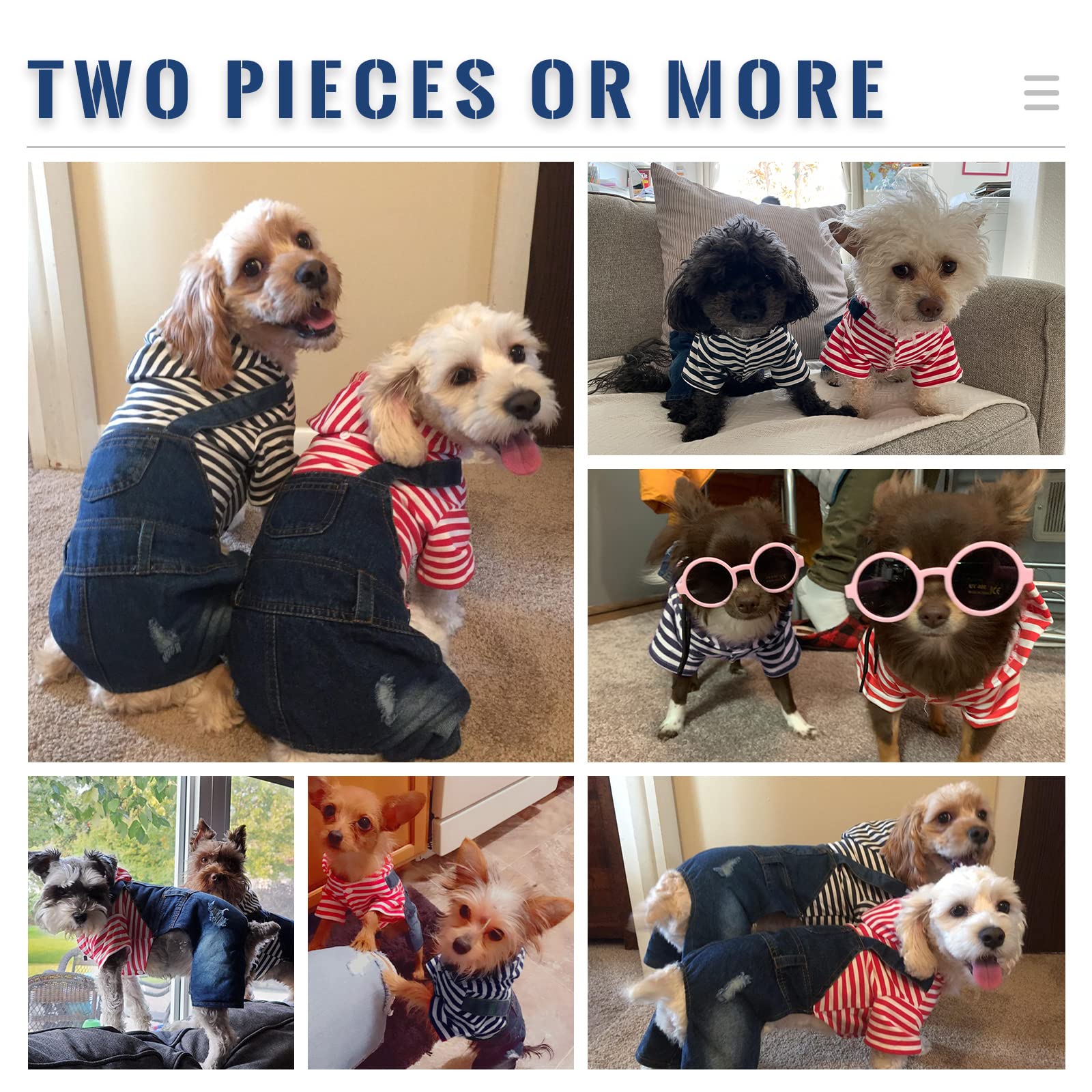 DOGGYZSTYLE daily-wear pet outfit ideal for photos and outings.