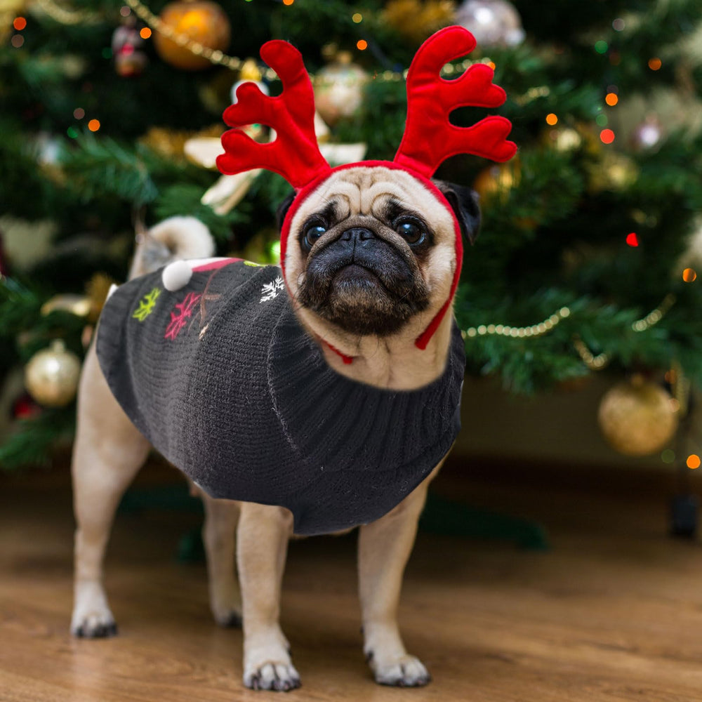 DOGGYZSTYLE Christmas party-ready dog sweater for festive celebrations.