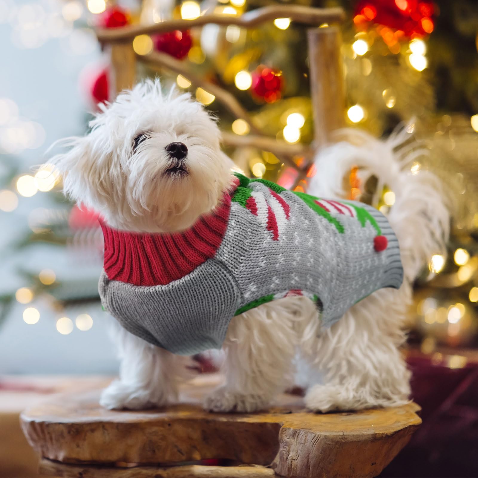 DOGGYZSTYLE Grey Elf festive sweater ready for holiday photos