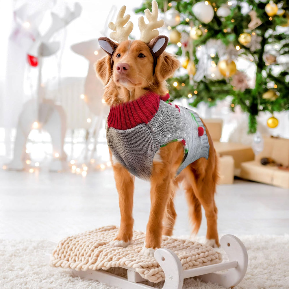 DOGGYZSTYLE Grey Elf machine-washable care for easy cleanup