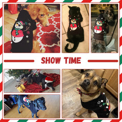 DOGGYZSTYLE knitted Christmas dog sweater with festive pattern for holiday photos.
