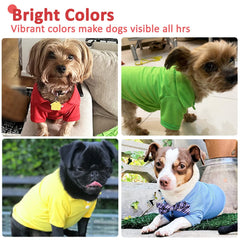Doggyzstyle polo shirt in yellow on a small dog for daytime flair and safety