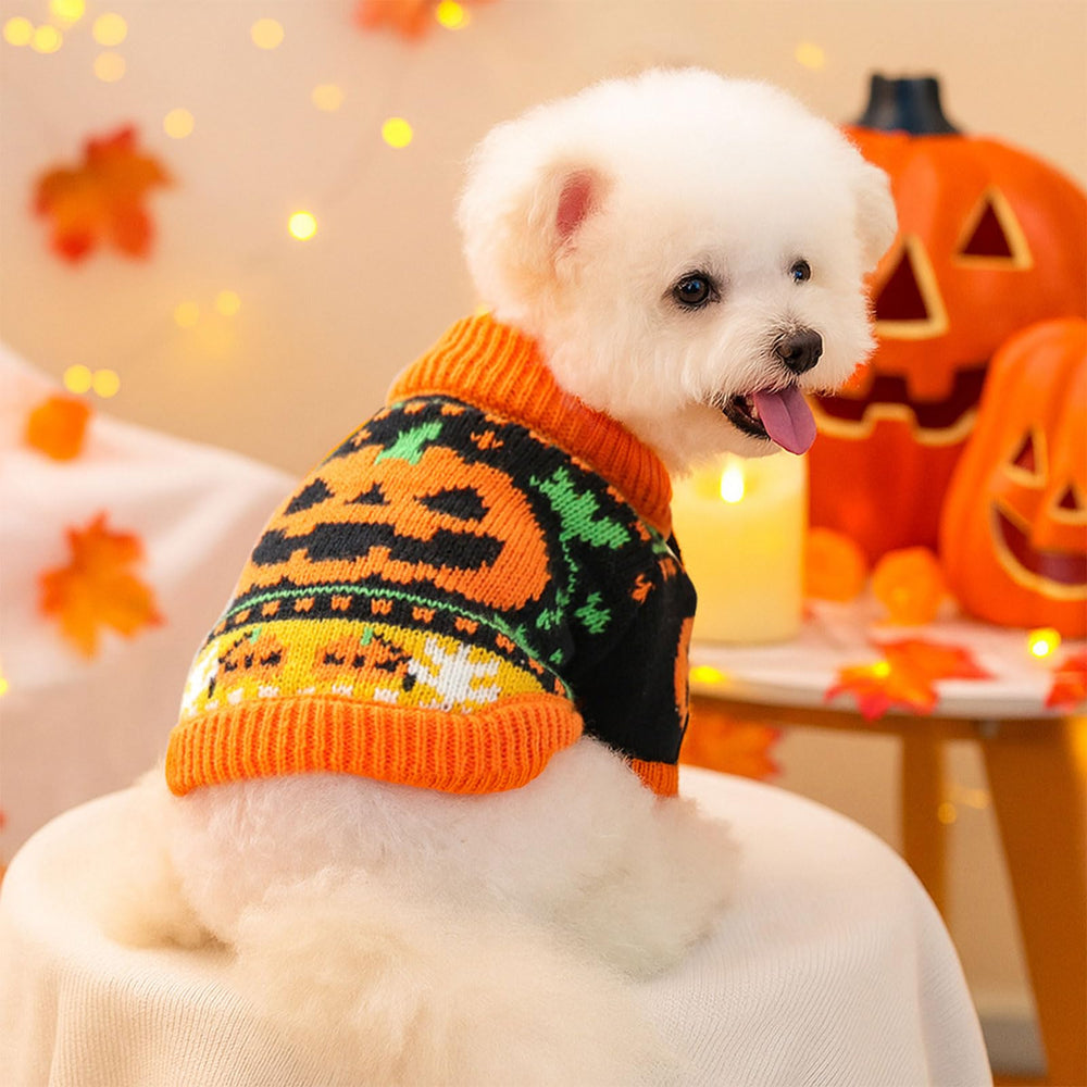 DOGGYZSTYLE pullover-dog-sweater close-up demonstrates stretchy knit for snug fit