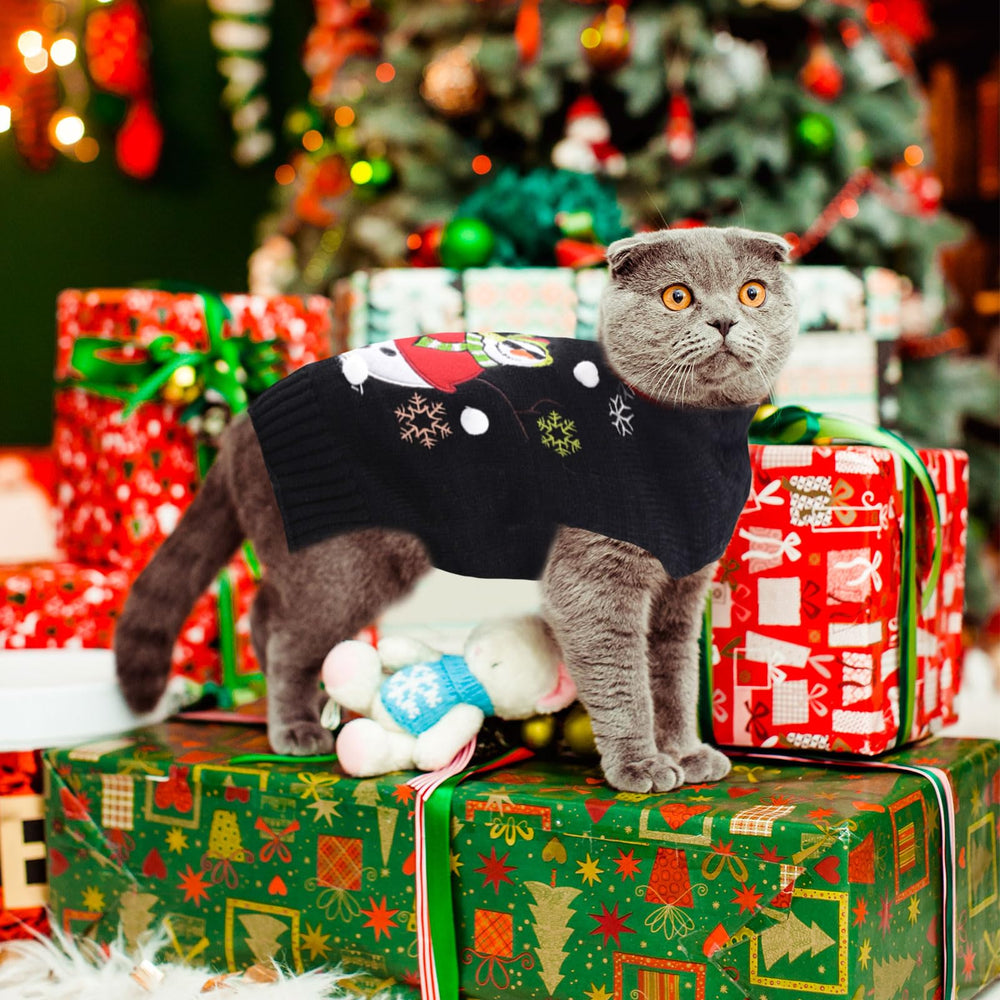 DOGGYZSTYLE snowman-pattern sweater sparks smiles during holiday outings.