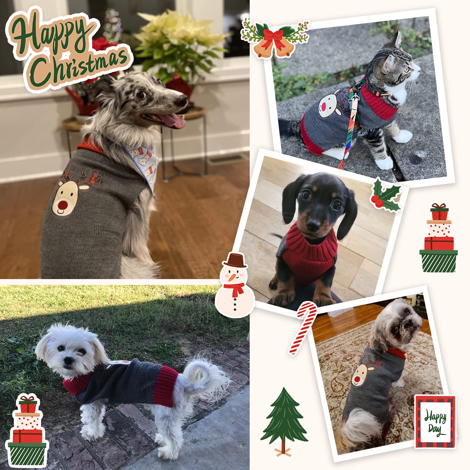 DOGGYZSTYLE ropa festiva para mascotas, fácil de poner y quitar.