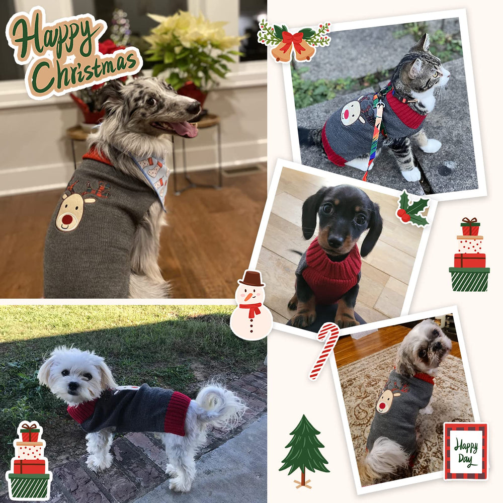 DOGGYZSTYLE ropa festiva para mascotas, fácil de poner y quitar.
