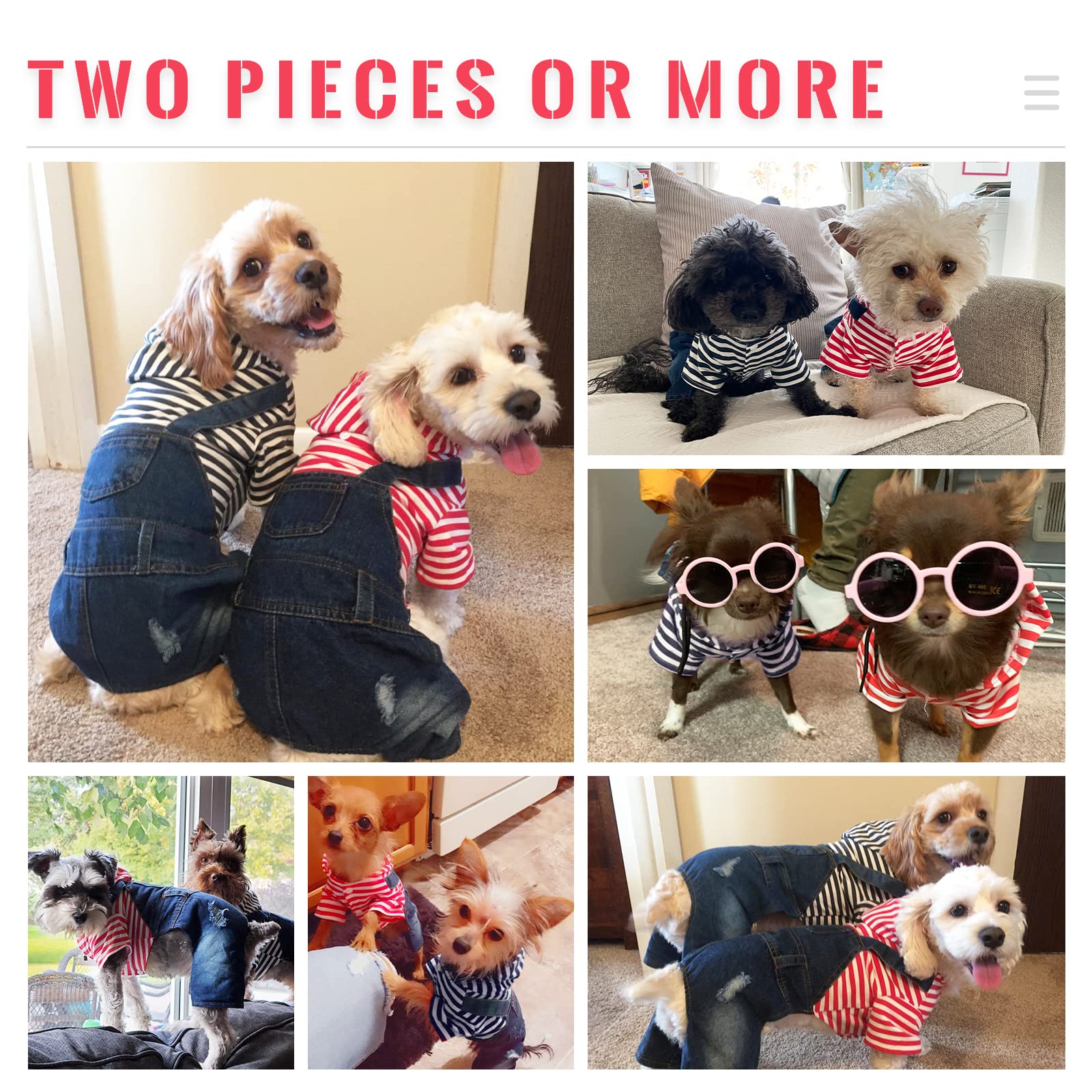 DOGGYZSTYLE three-button top enables quick, easy dressing