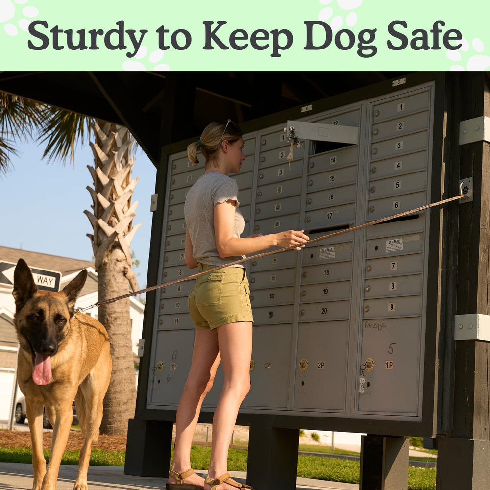 Doghook Canine Hitch commercial-use setup highlights pet-friendly spaces like restaurants and clinics.