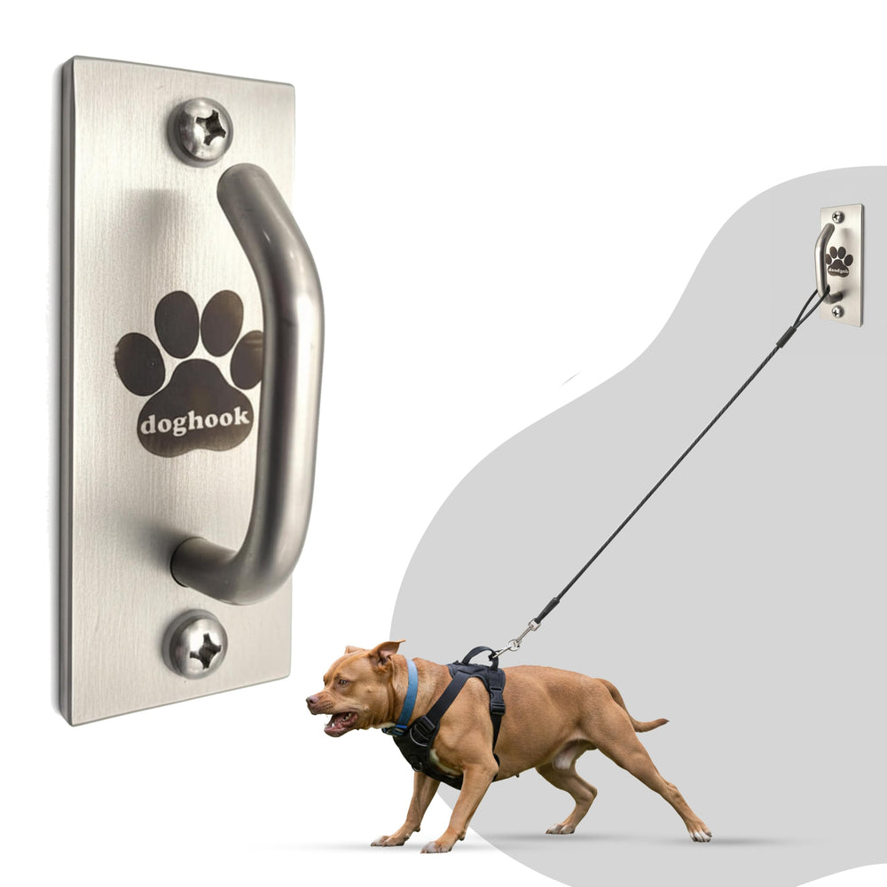 Doghook stainless-steel canine hitch indoor-outdoor provides durable leash management for home and yard.