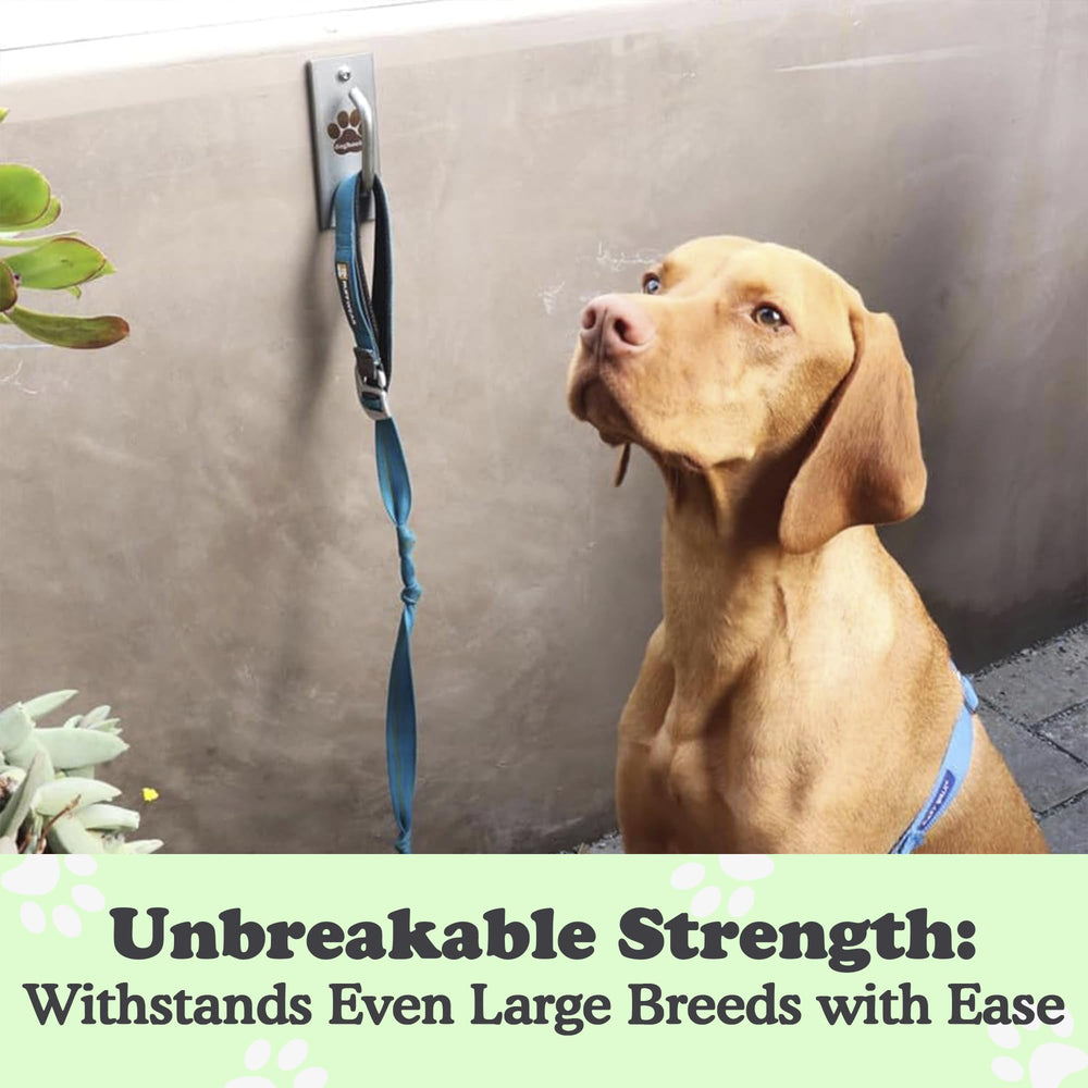 Doghook weather-resistant dog hook rustproof ensures reliable outdoor use in yards.