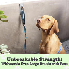 Doghook weather-resistant dog hook rustproof ensures reliable outdoor use in yards.