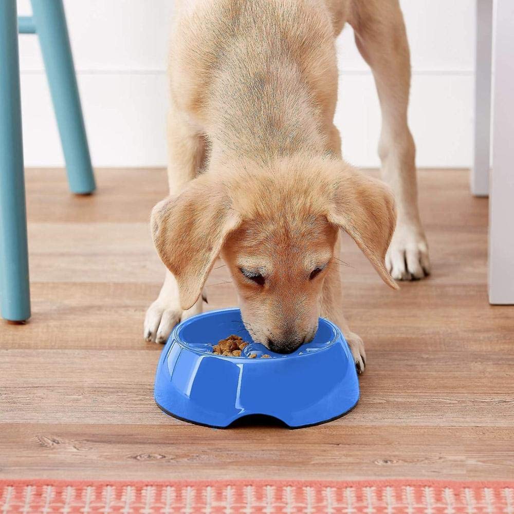Dogit Go Slow bowl in black, medium, front view showcases anti-gulping design for calm mealtimes.