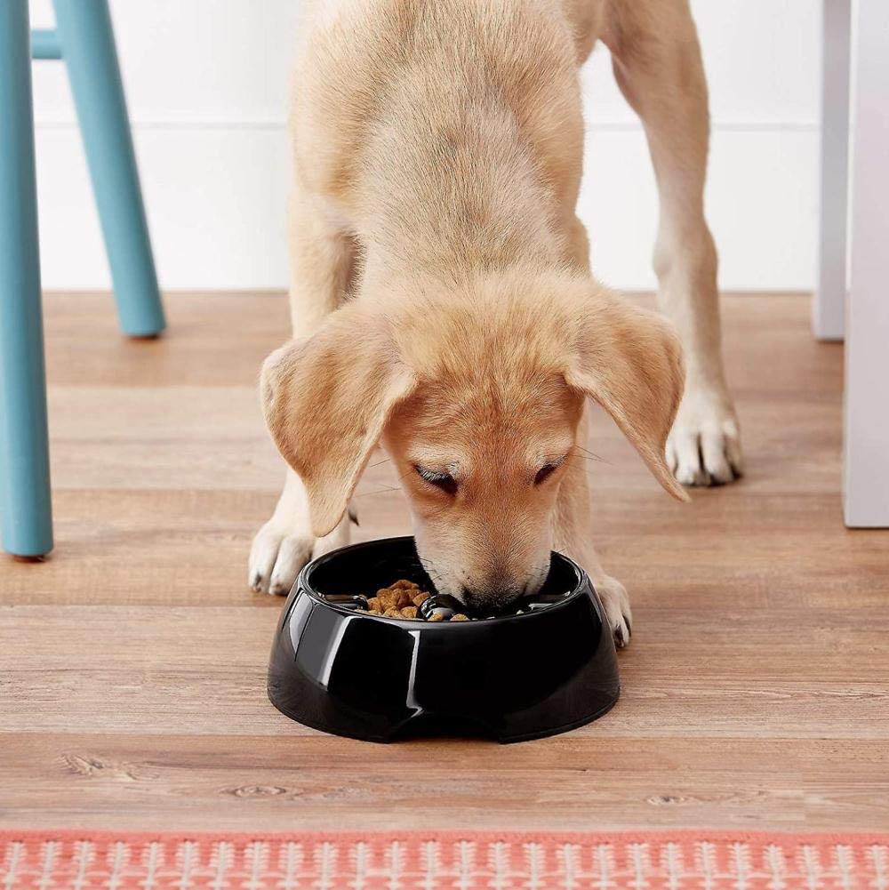 Dogit Go Slow bowl in black, medium, feeding area setup for calm mealtimes.