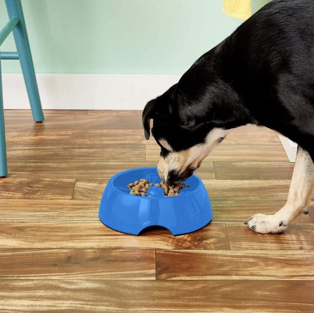 Dogit Go Slow bowl in black, medium, feeding dog in a friendly setup for slower eating.
