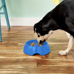 Dogit Go Slow bowl in black, medium, feeding dog in a friendly setup for slower eating.