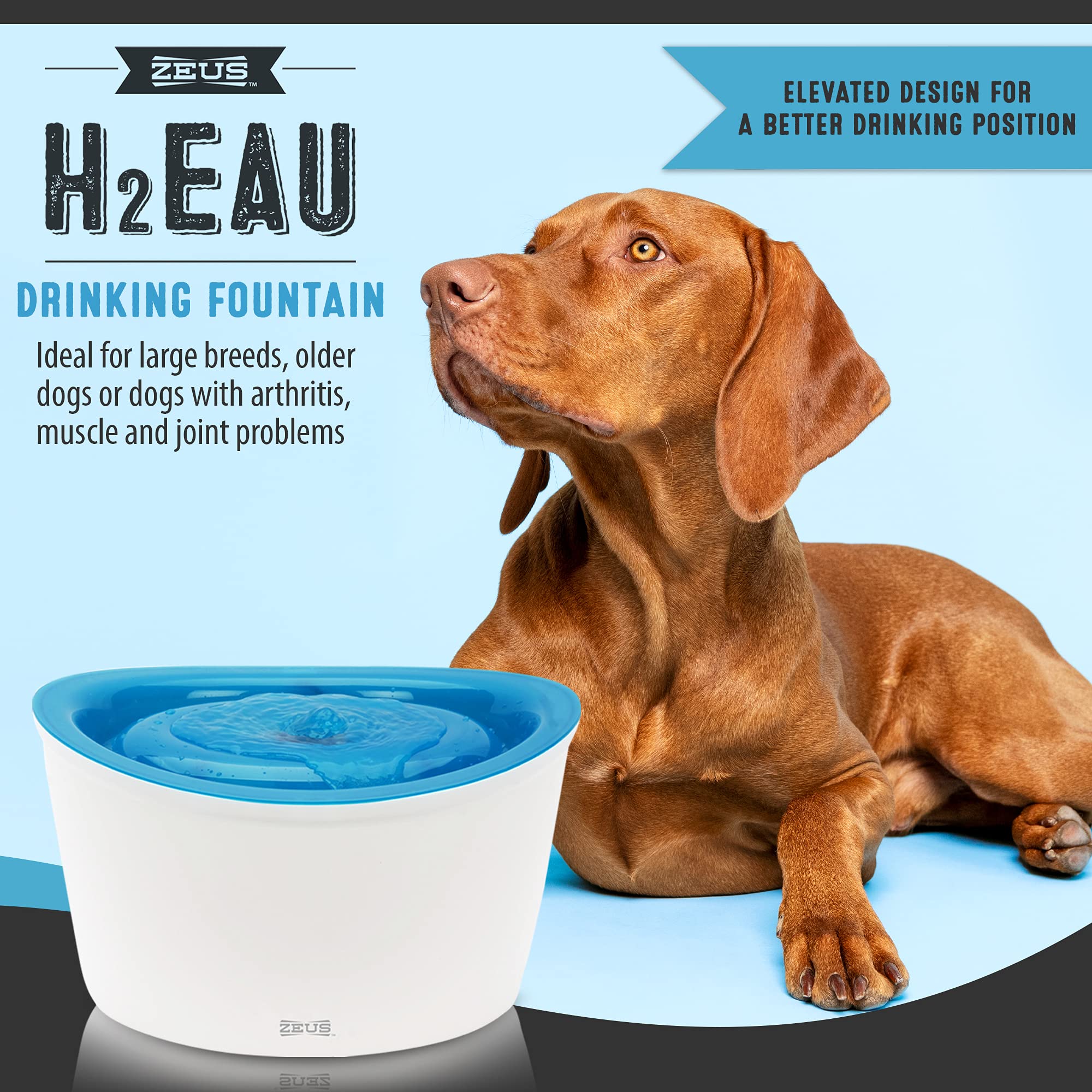 Dogit Zeus 6L capacity water fountain demonstrates long-lasting hydration between refills.