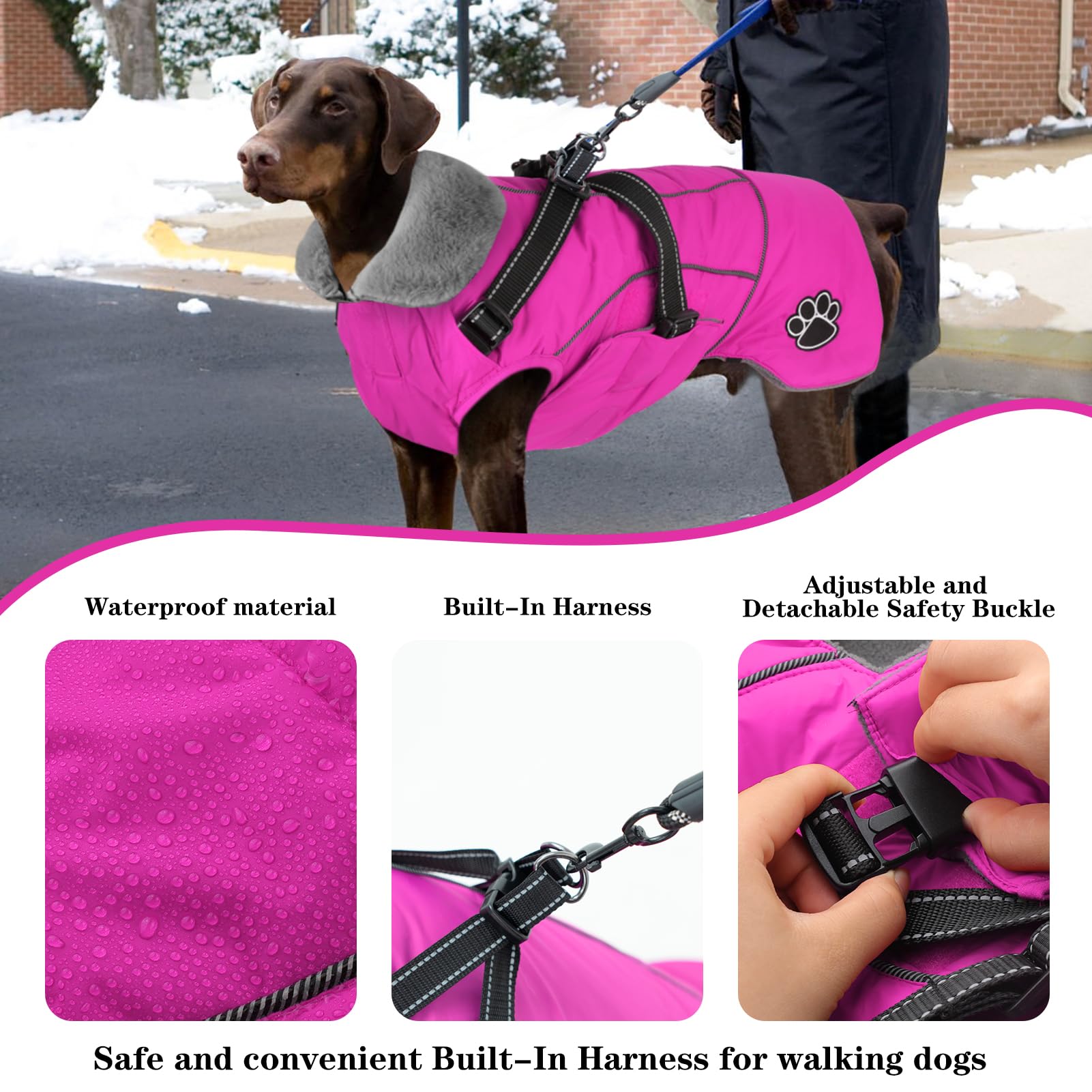 Doglay adjustable magic sticker closures for easy on/off.