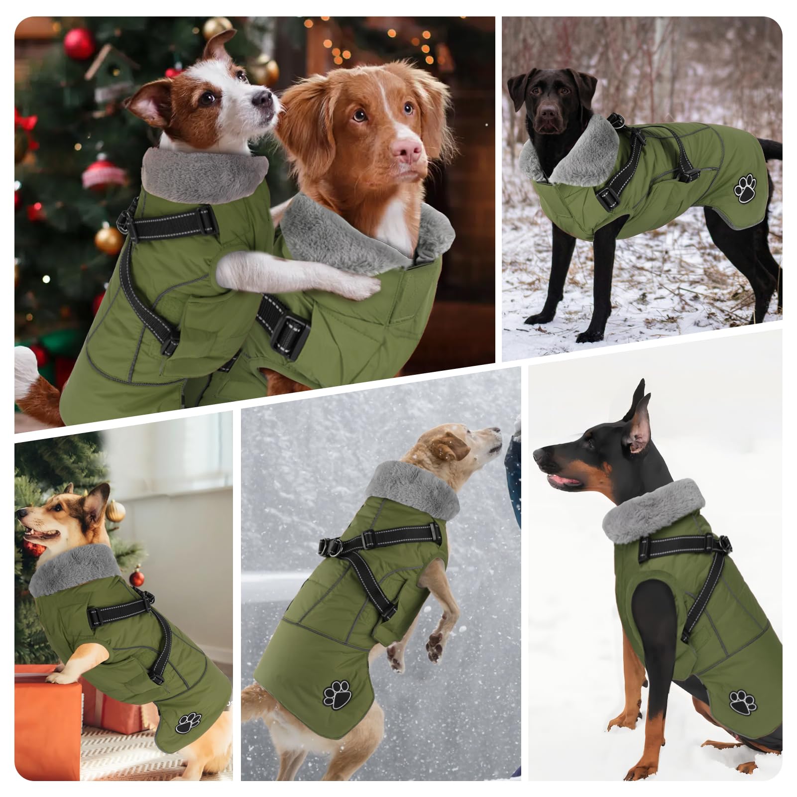 Doglay adjustable magic stickers provide easy fit and quick on/off.
