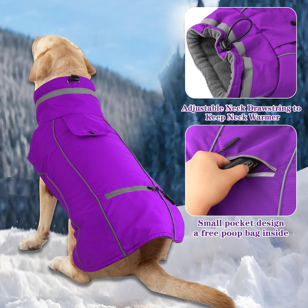 Doglay adjustable strap jacket ensures a snug fit across breeds.