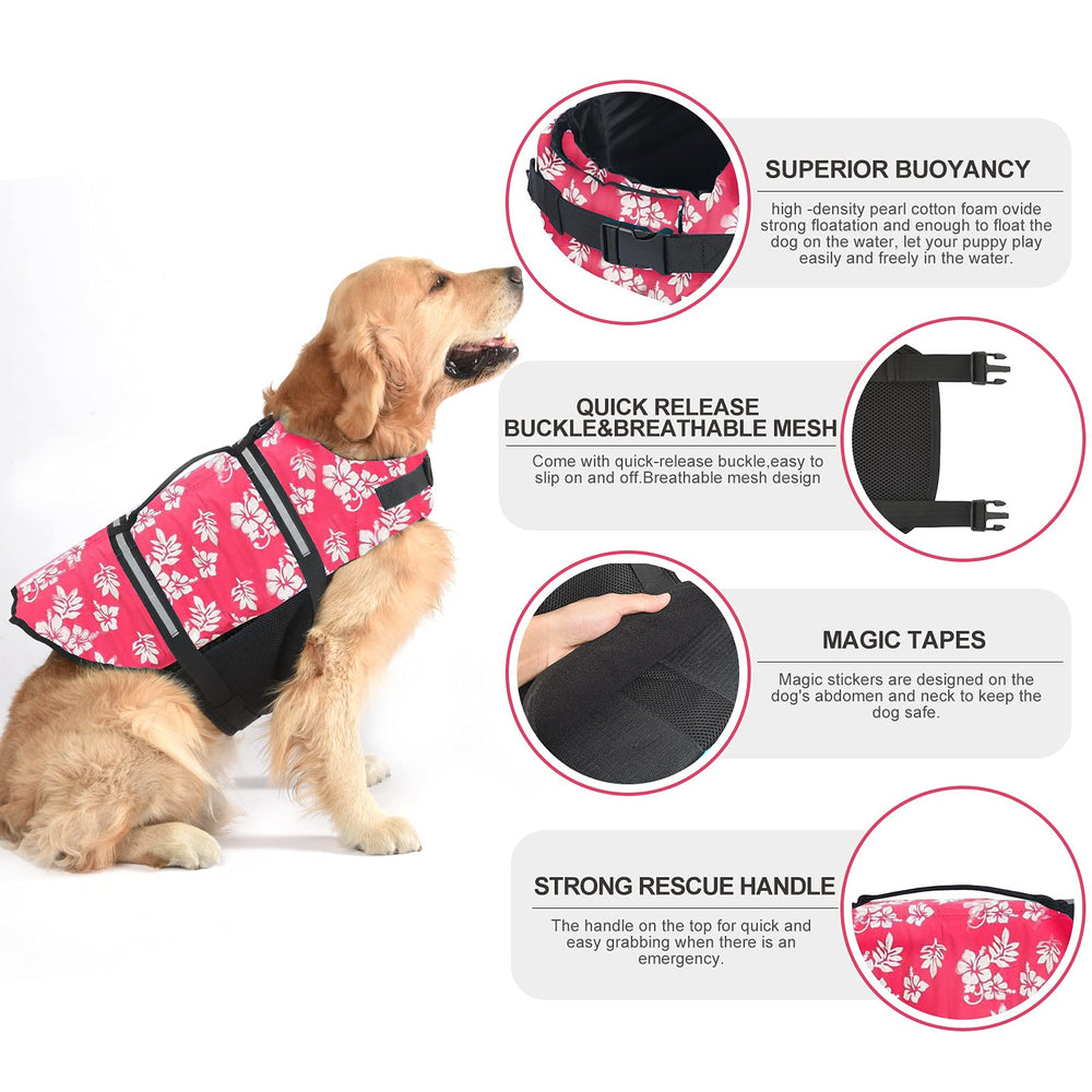 Doglay breathable mesh underbelly design aiding quick drying after water time