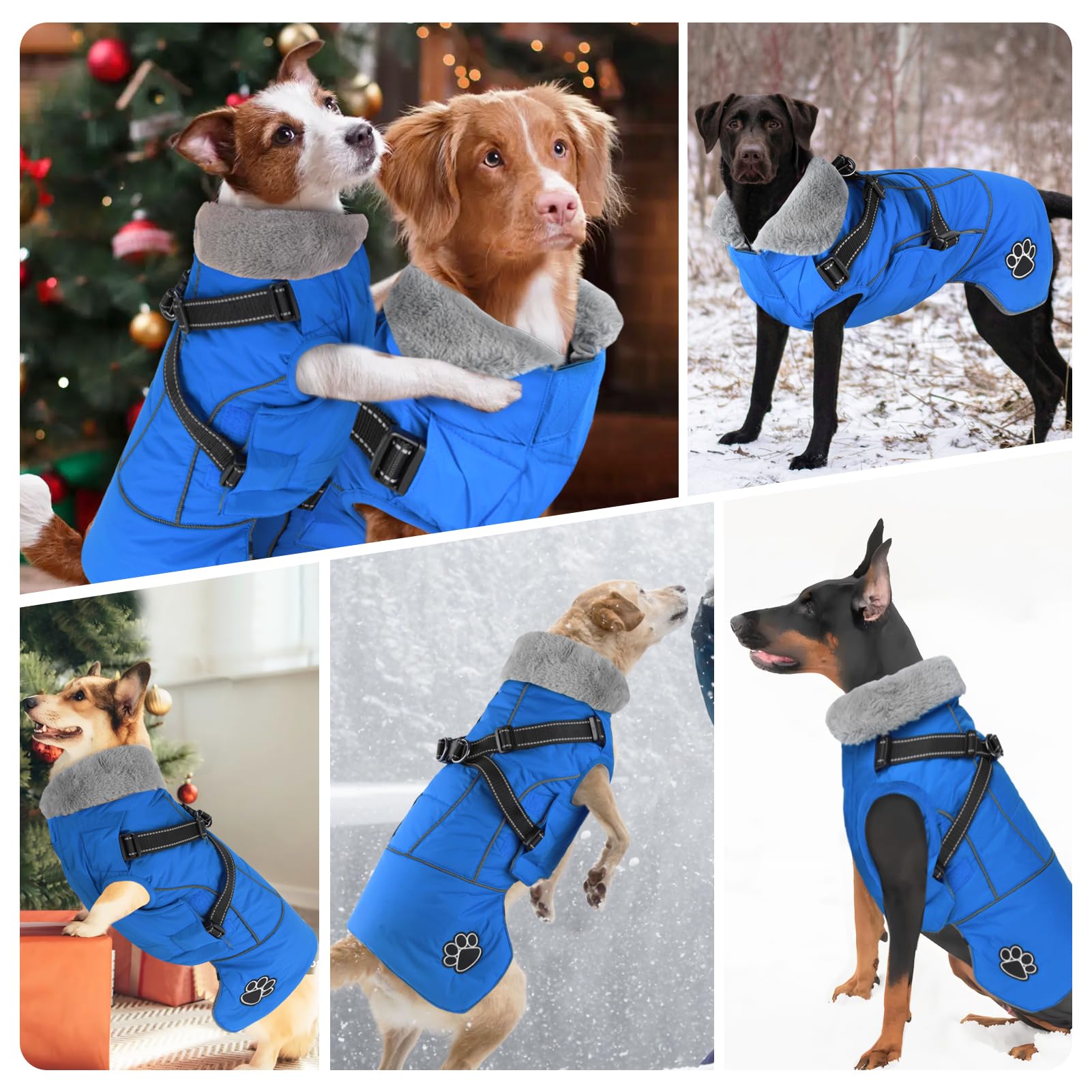 Doglay dog coat adjustable magic stickers offer a secure customizable fit