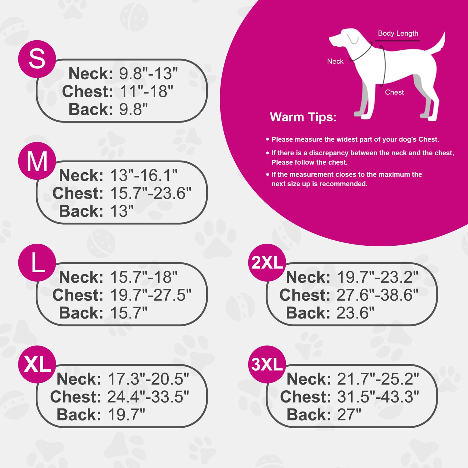 Doglay dog coat worn during winter hiking for comfortable outdoor adventures.