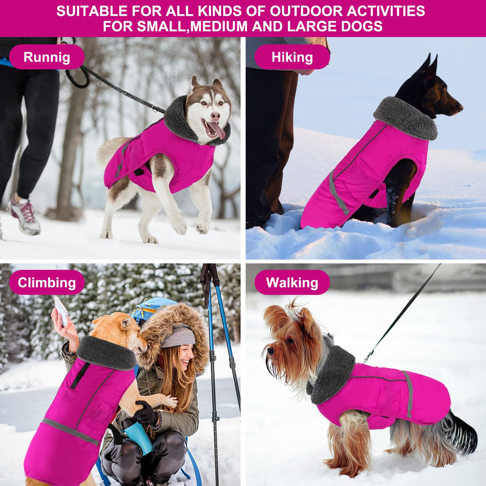 Doglay dog coat in snow demonstrating snug fit during play.