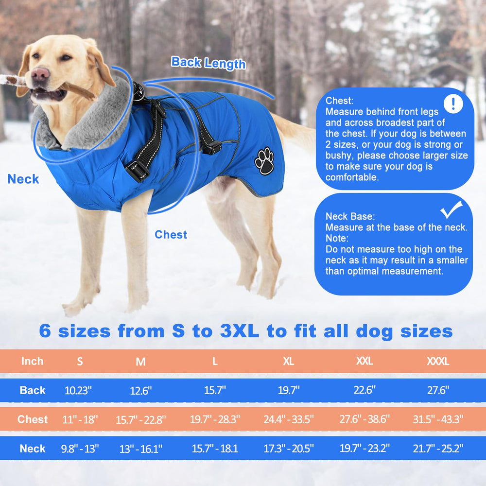 Doglay dog coat harness detachable clip demonstrates quick on off during adventures