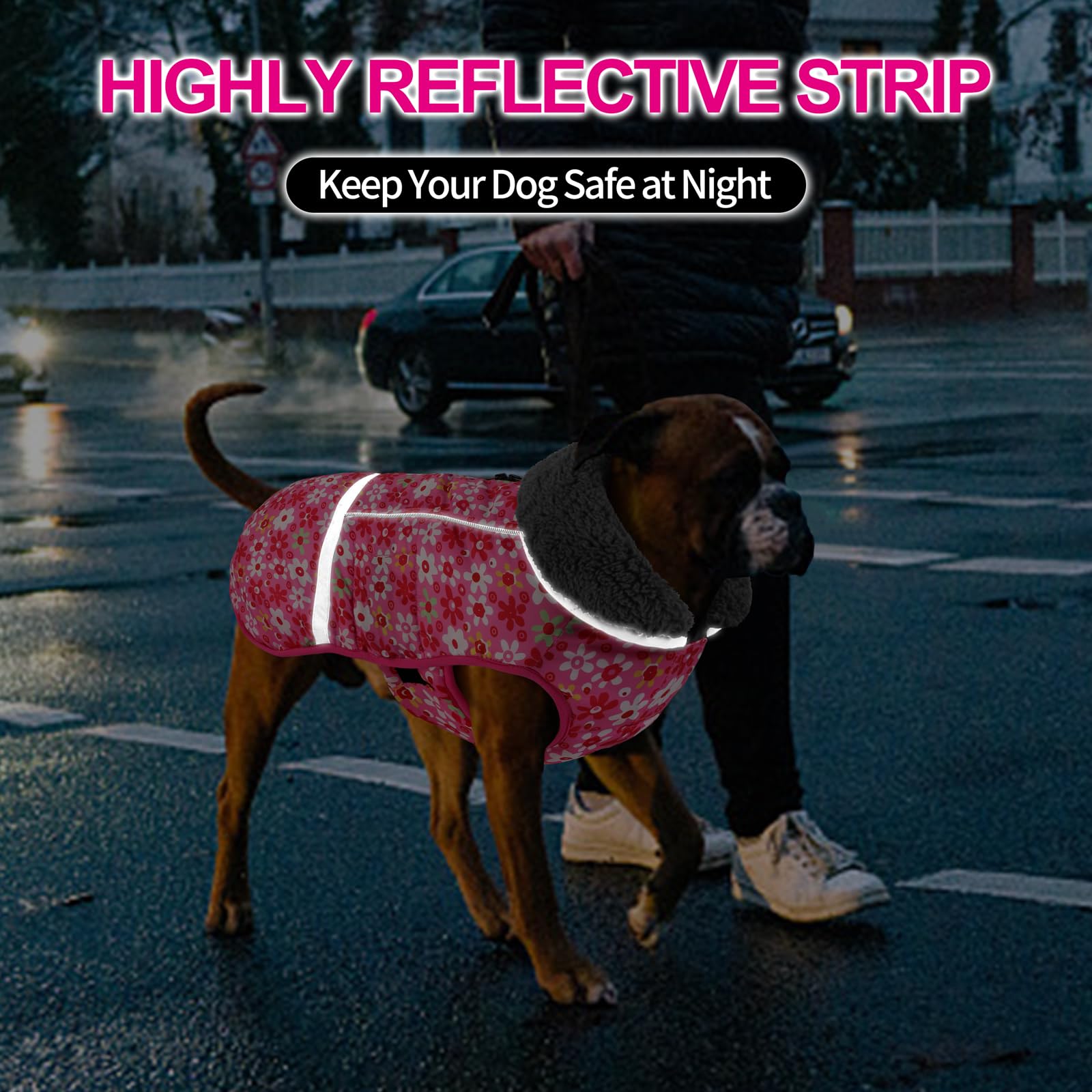 Doglay dog coat high-fur collar close-up for extra warmth