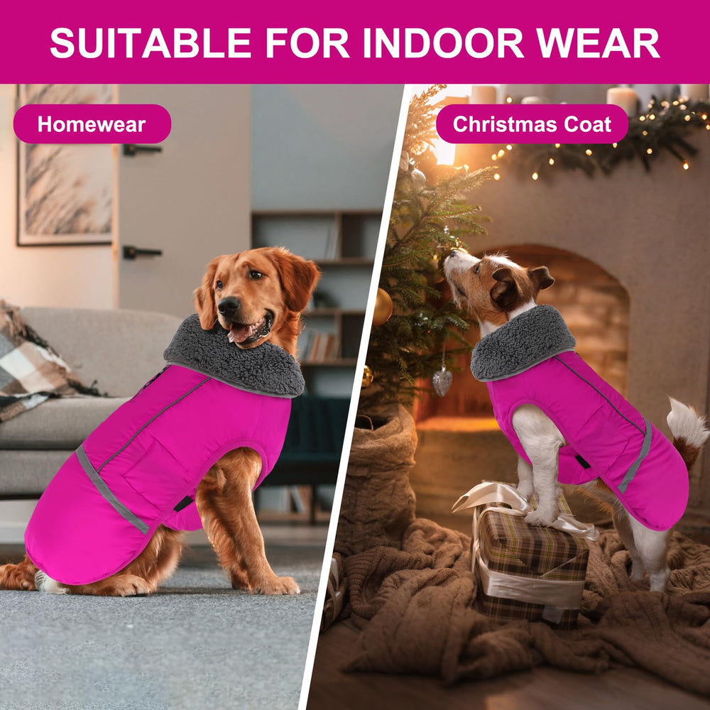 Doglay winter coat with reflective trim improves visibility during night walks.