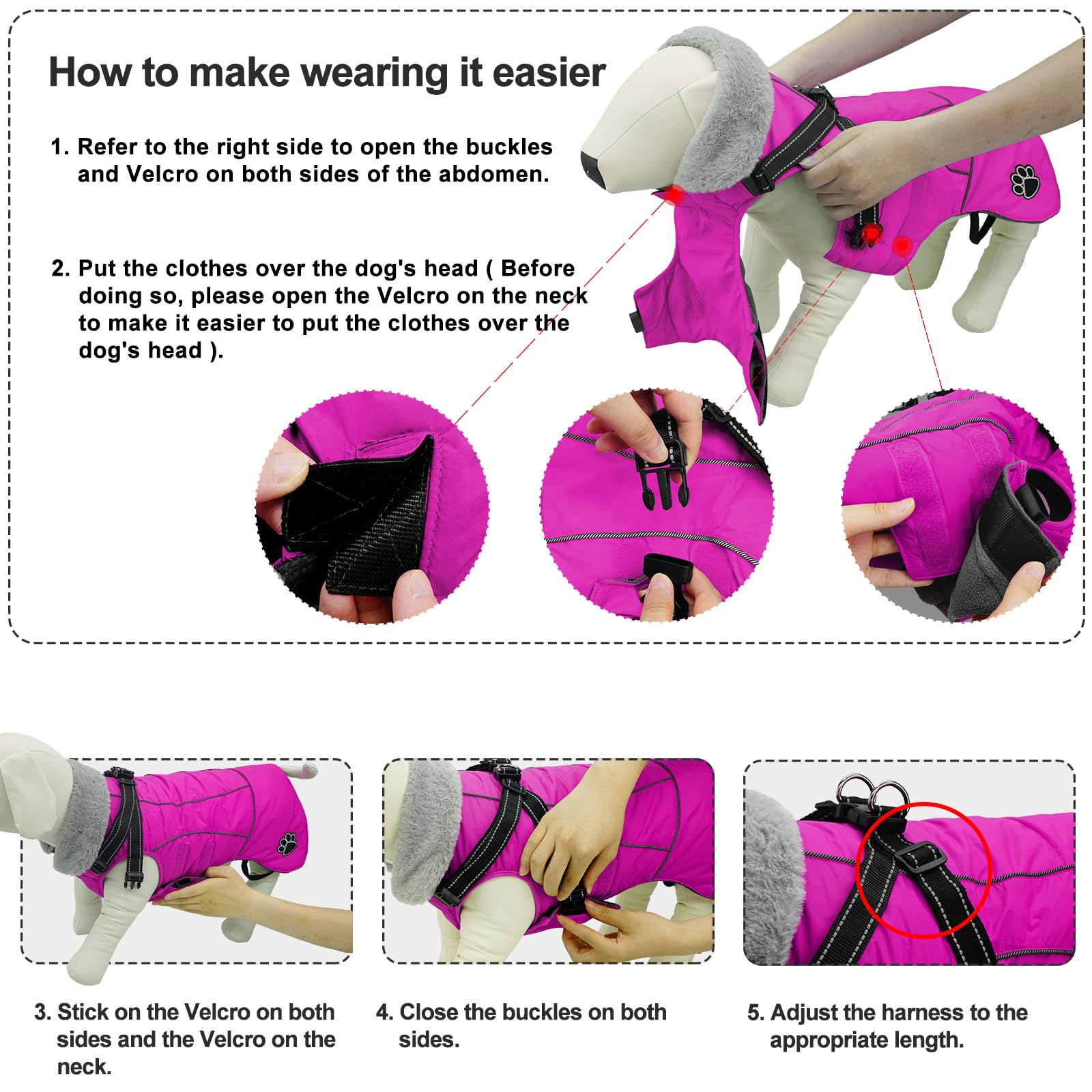 Doglay dog coat shown during outdoor walk in cold weather.