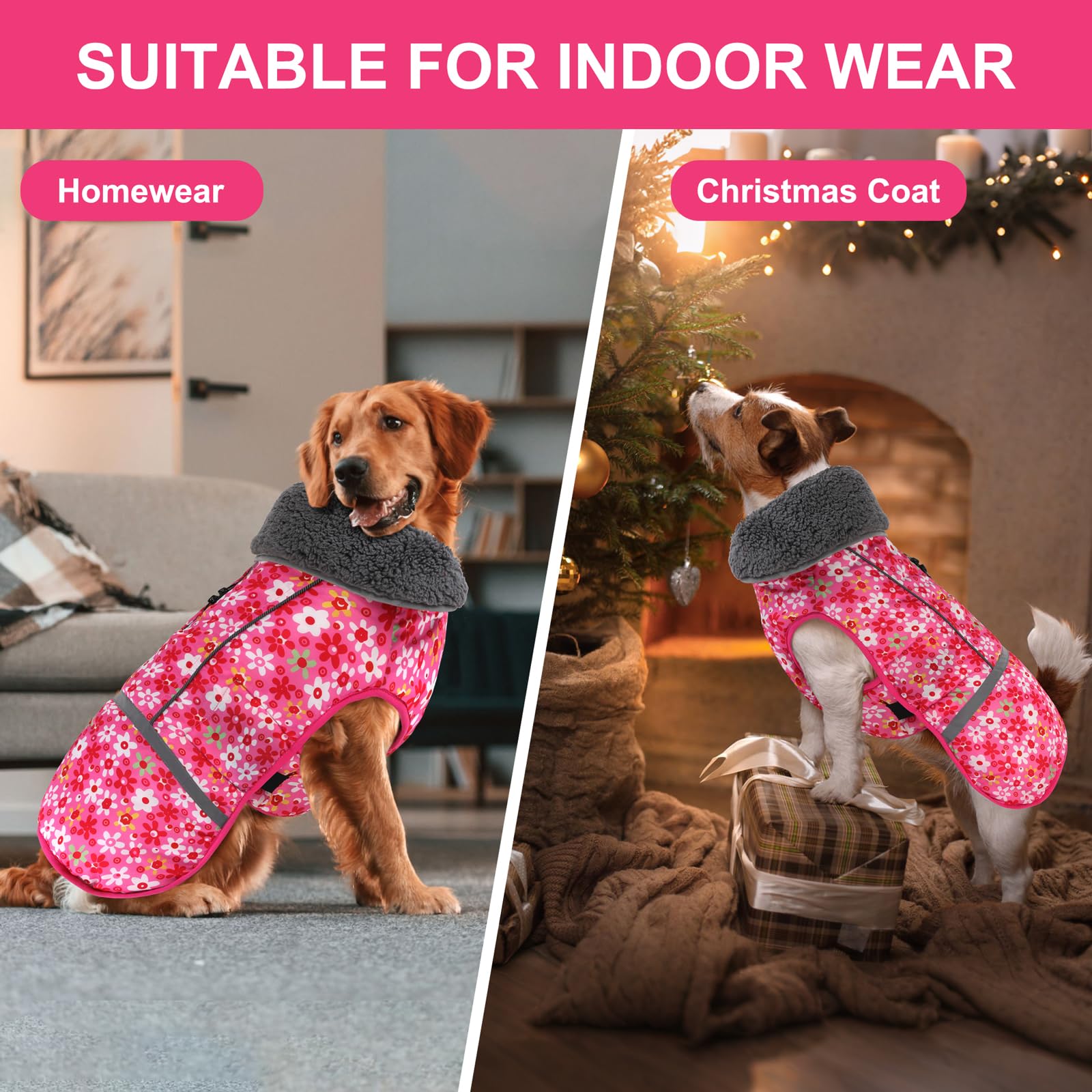 Doglay dog coat in action during outdoor activities like hiking