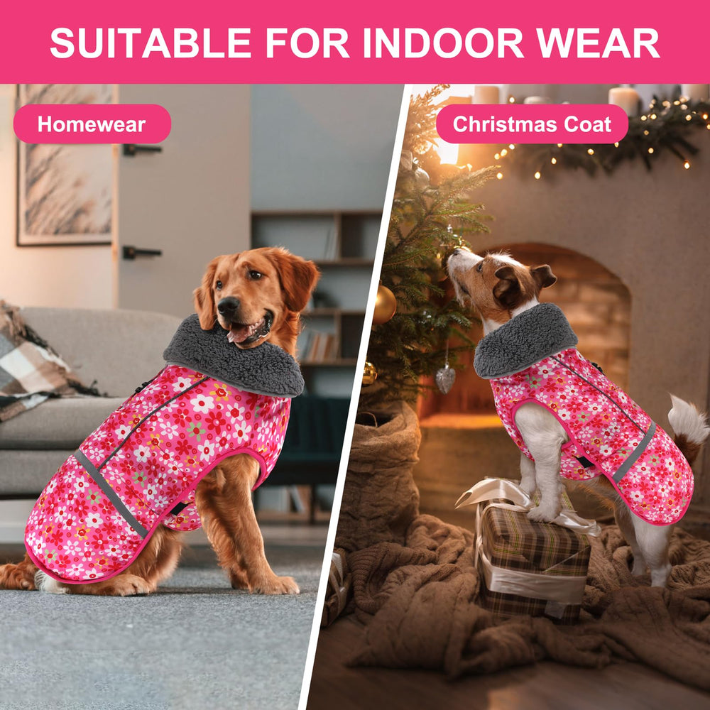 Doglay dog coat in action during outdoor activities like hiking