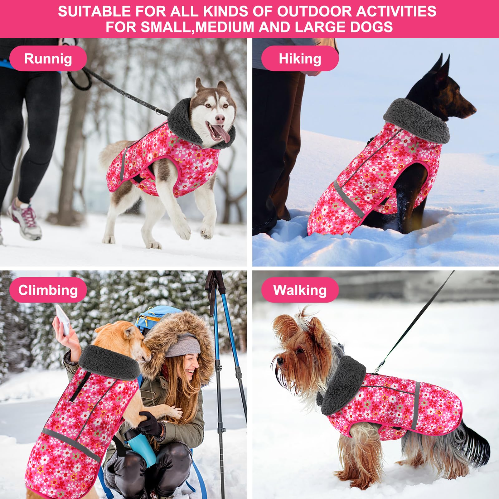 Doglay dog coat size options illustration showing chest and back length fit guidance