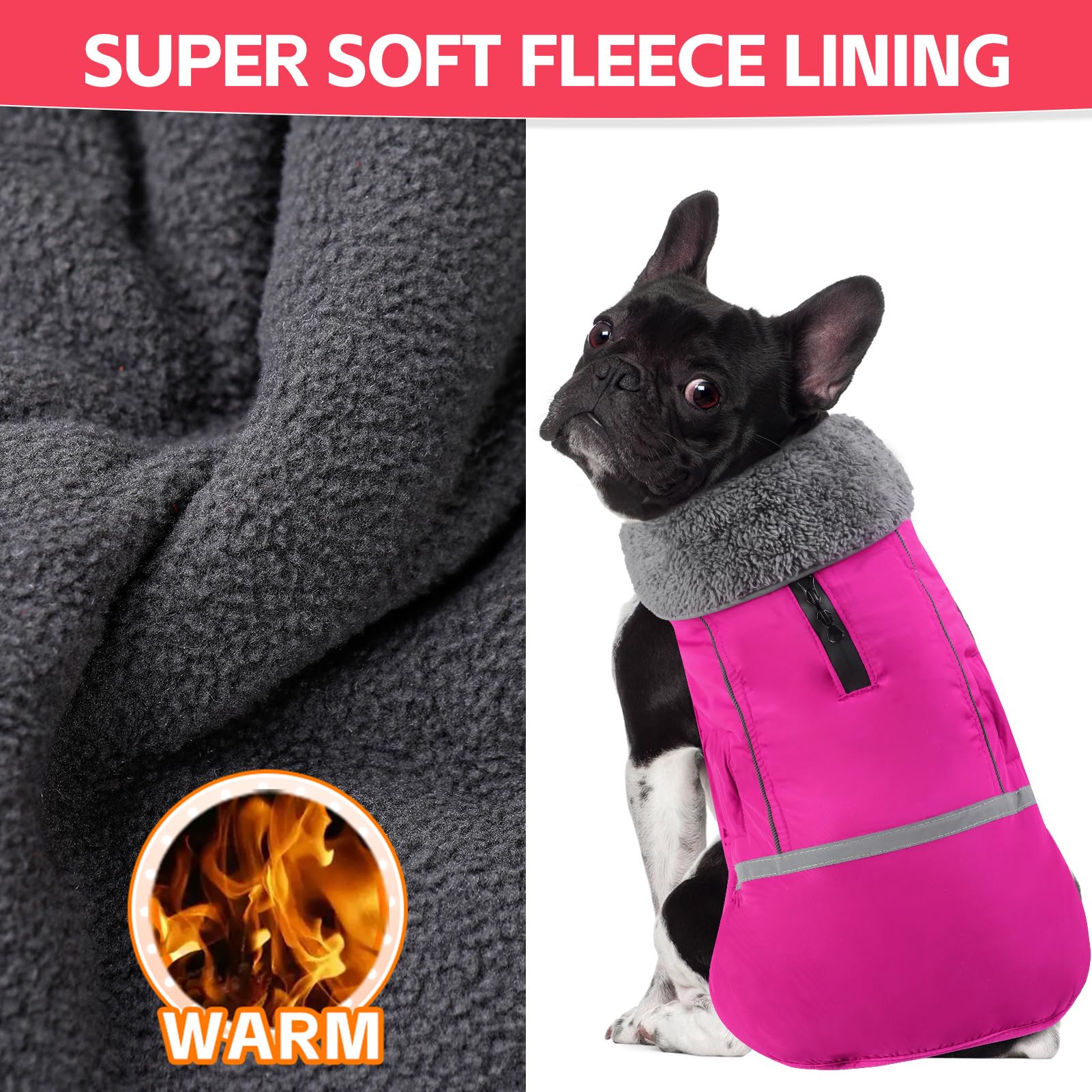 Doglay warm fleece lining adds cozy warmth on cold days.