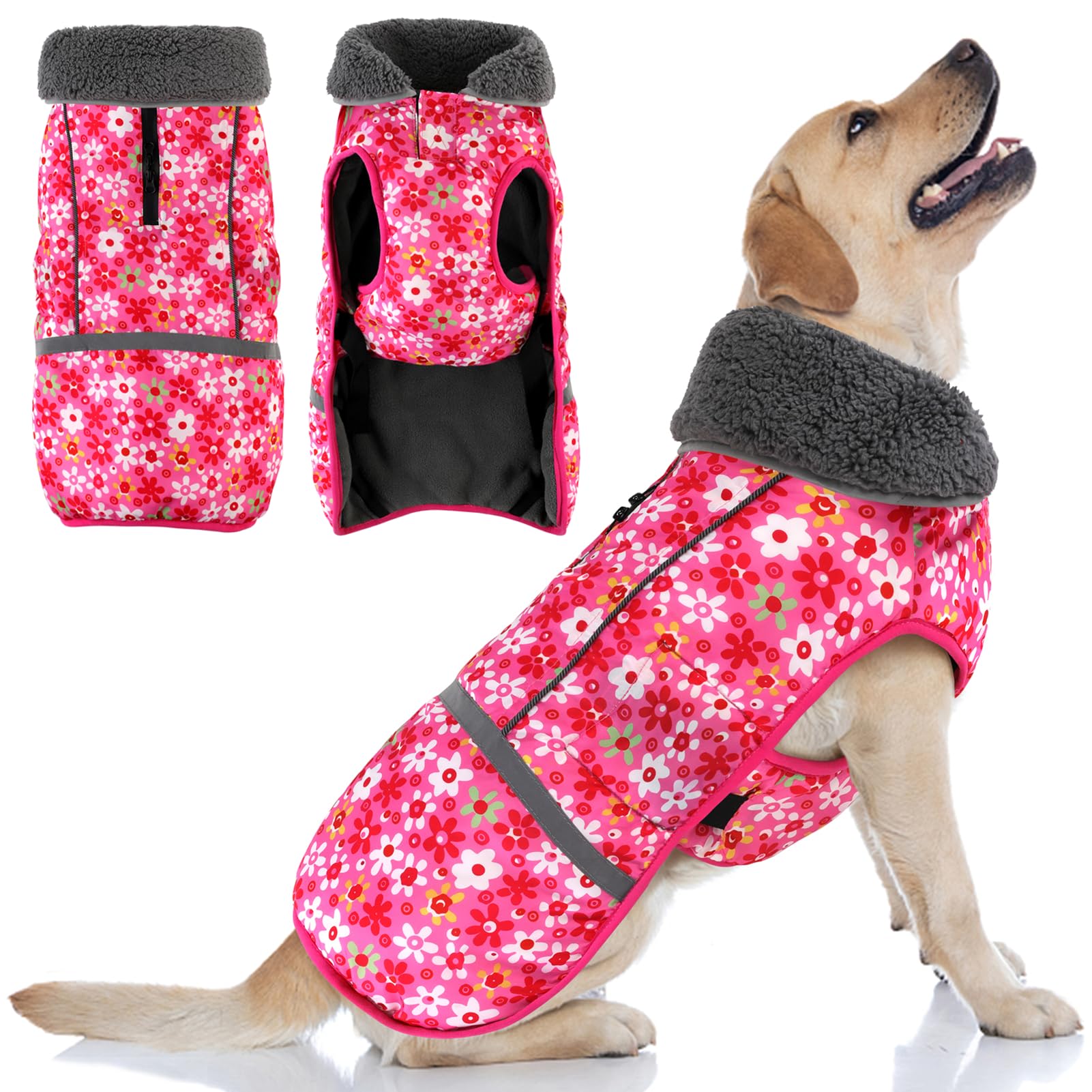 Doglay dog coat waterproof back view with reflective safety stripes for night visibility