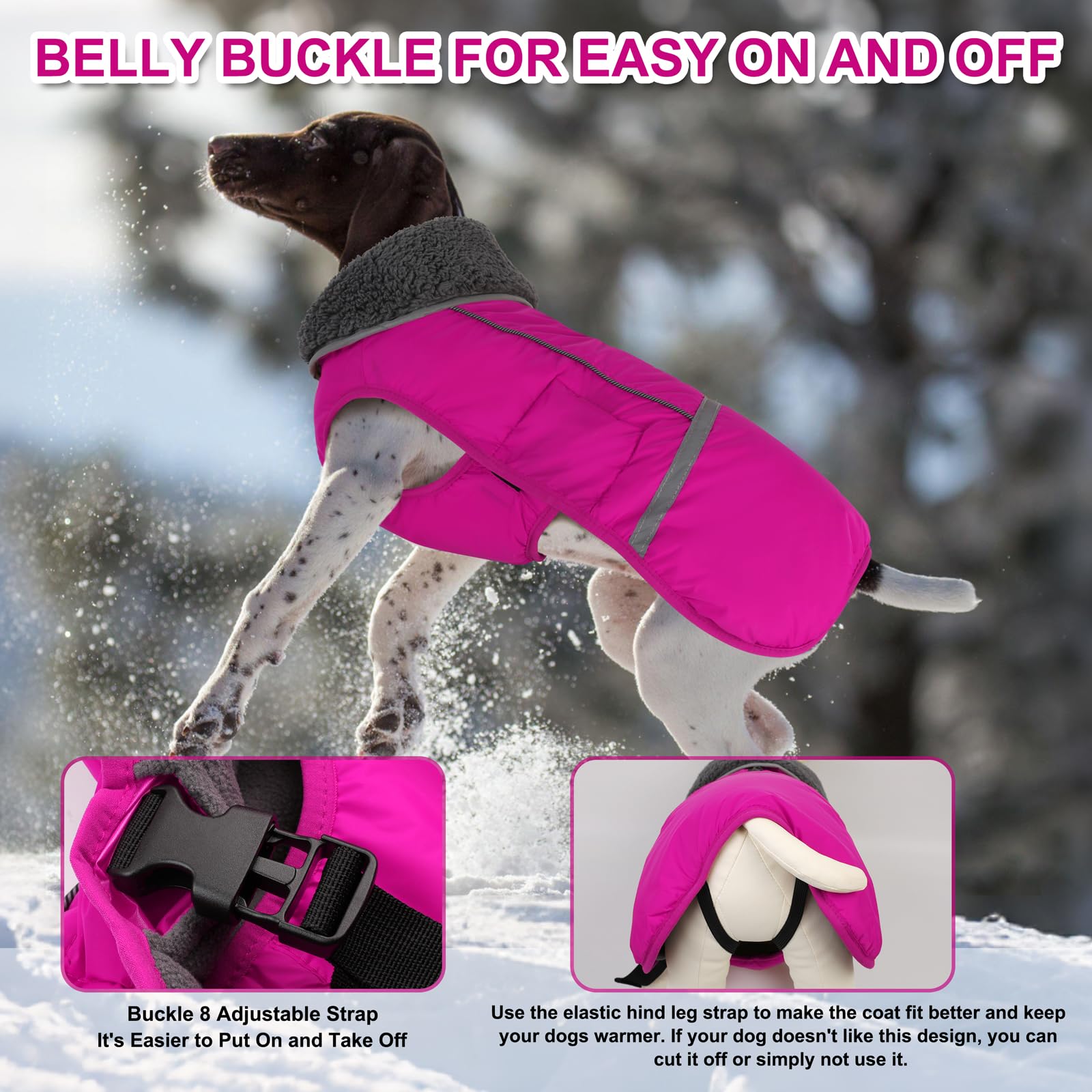 Doglay jacket zipper with waterproof seal protects fur on walks.