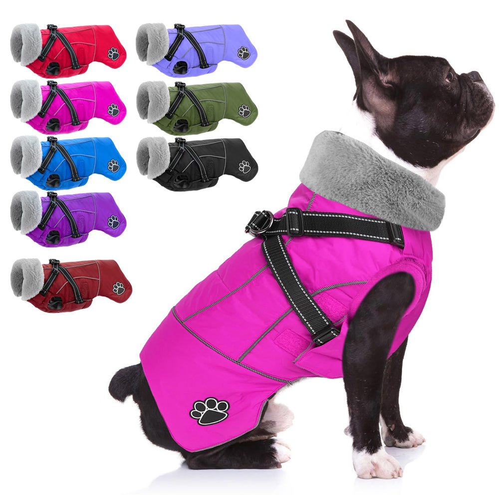 Doglay dog coat with harness for secure fit during walks.
